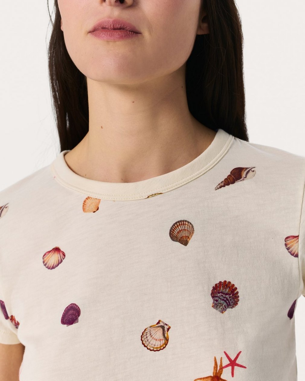 Seashell Graphic Tee - Ivory Multi